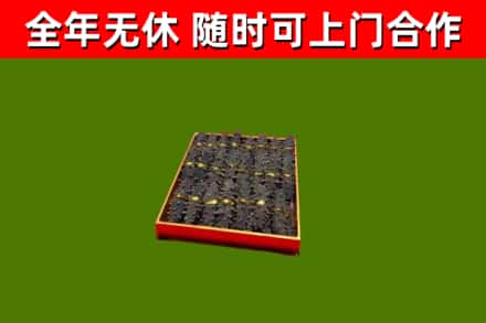 广平县回收海参